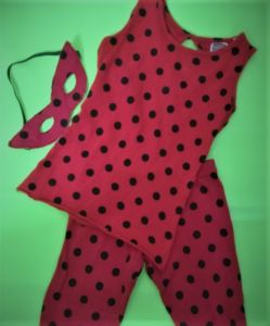 Kids Costumes to Hire - Miraculous Ladybug - Top & Pants  costume